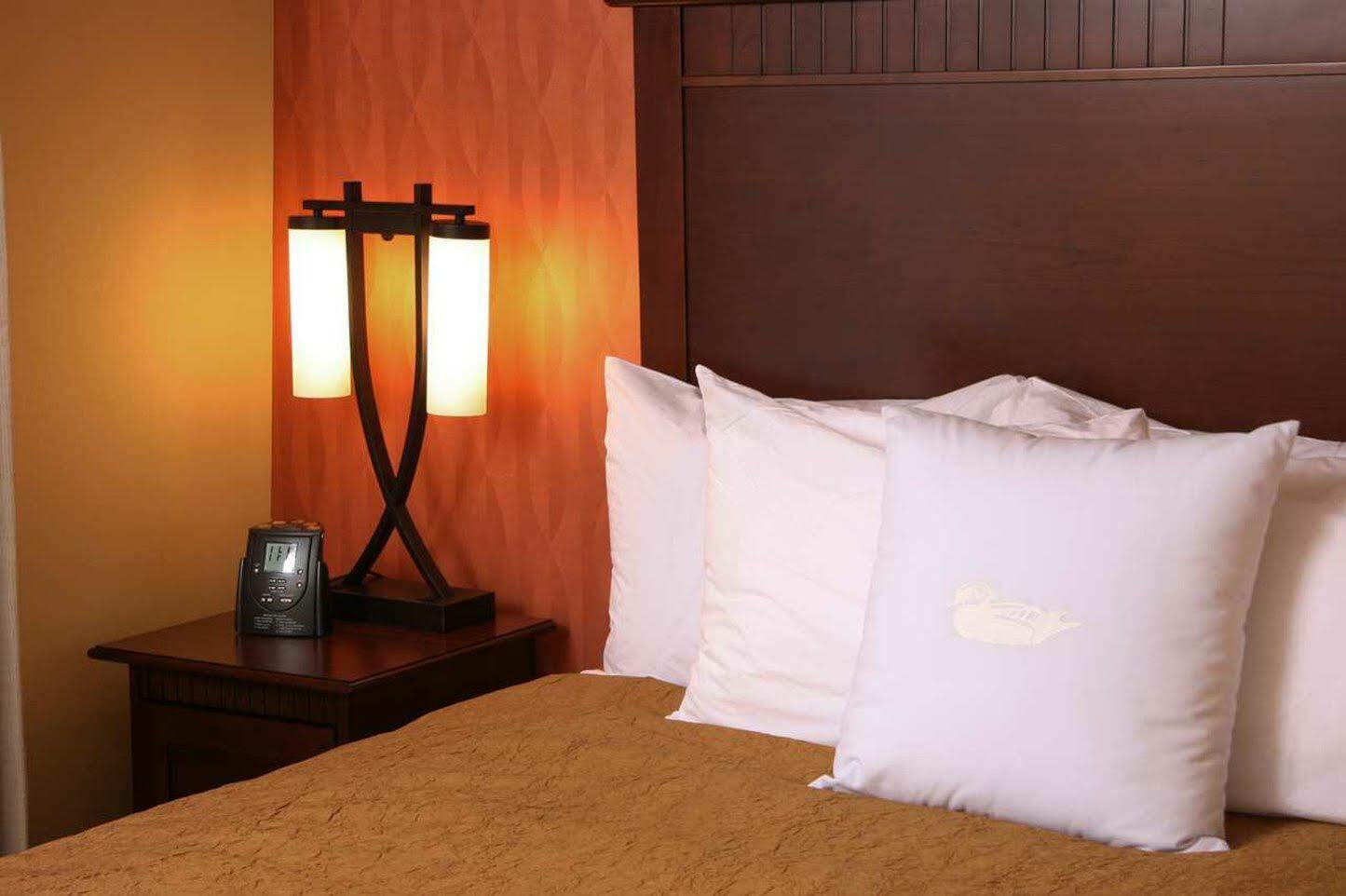 Homewood By Hilton Denver International Airport 3*